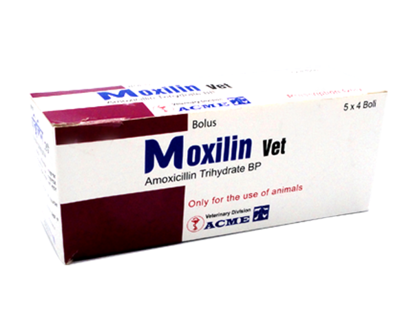 MOXILIN VET